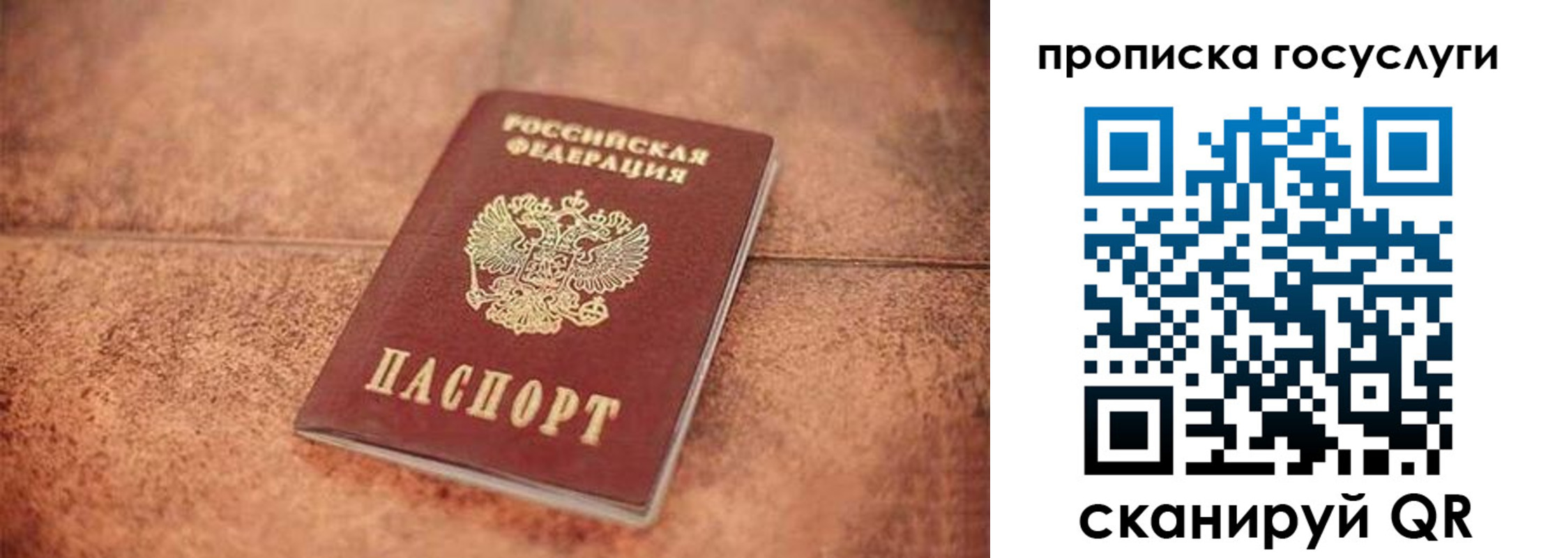 прописка законно в Голицыно